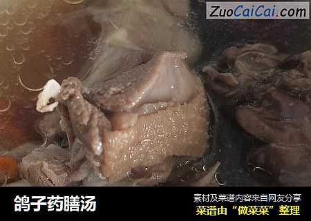 鸽子药膳汤