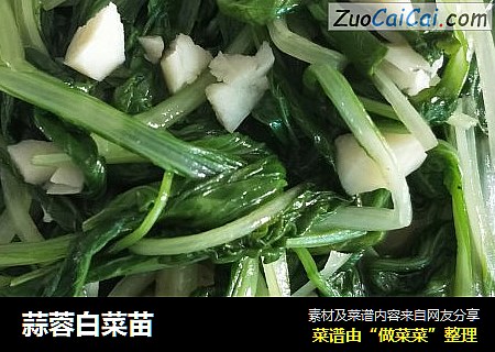 蒜蓉白菜苗