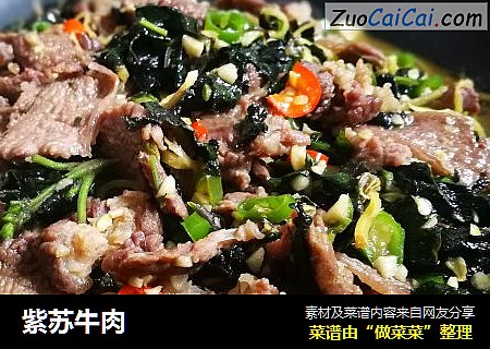 紫苏牛肉