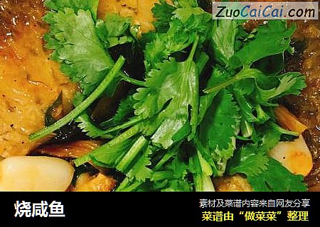 烧咸鱼