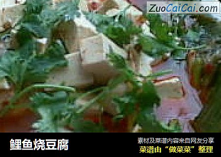 鲤鱼烧豆腐