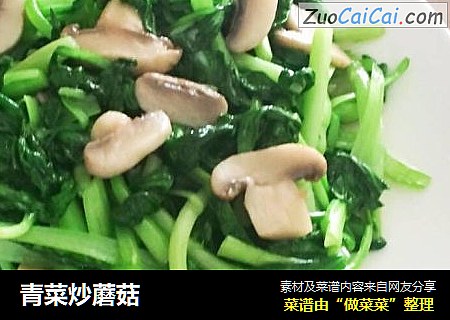 青菜炒蘑菇