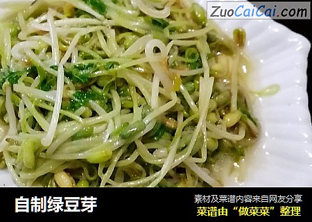 自制绿豆芽