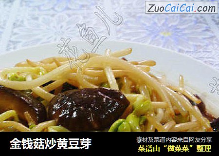 金钱菇炒黄豆芽