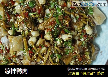 凉拌鸭肉