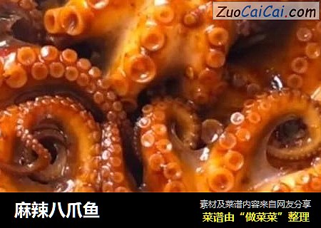 麻辣八爪鱼