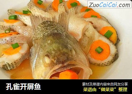 孔雀开屏鱼