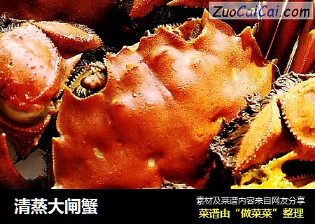 清蒸大闸蟹