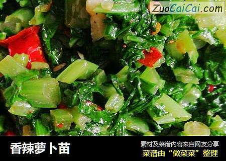 香辣萝卜苗