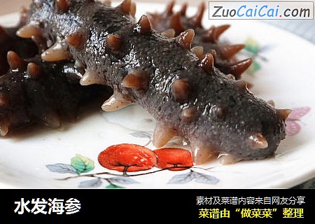 水发海参