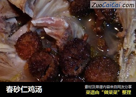 春砂仁鸡汤