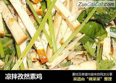 凉拌孜然素鸡