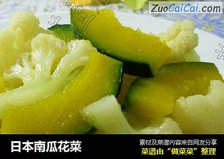 日本南瓜花菜