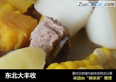 东北大丰收