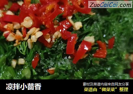 凉拌小茴香