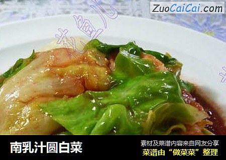 南乳汁圆白菜