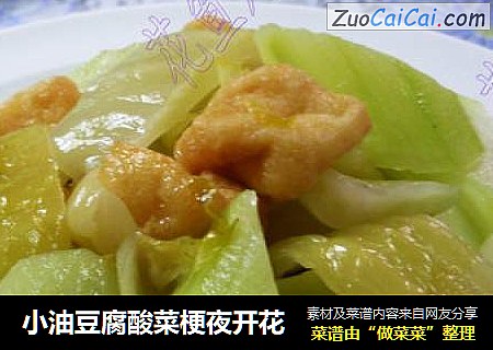 小油豆腐酸菜梗夜开花