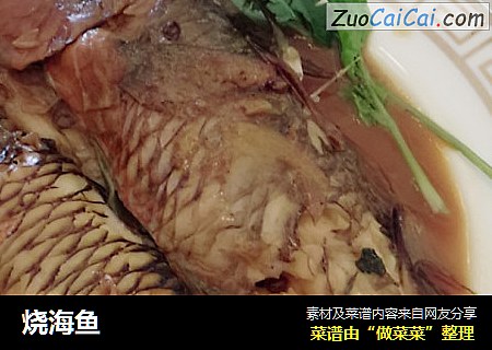 烧海鱼
