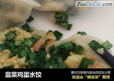 韭菜鸡蛋水饺