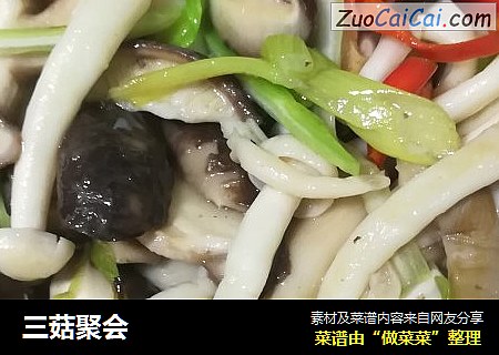 三菇聚会