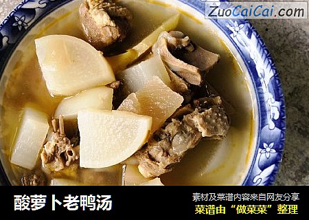 酸萝卜老鸭汤