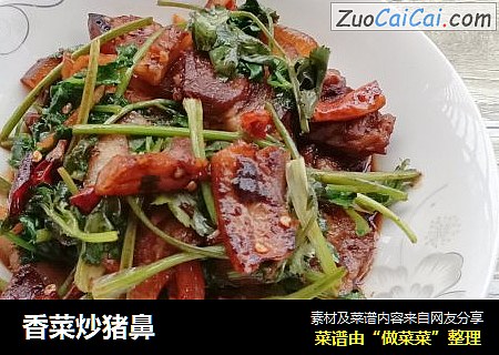 香菜炒猪鼻