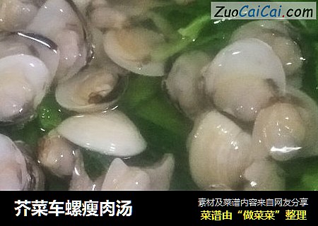 芥菜车螺瘦肉汤
