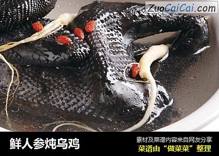 鲜人参炖乌鸡