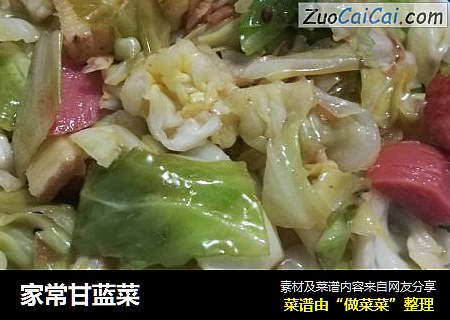 家常甘蓝菜