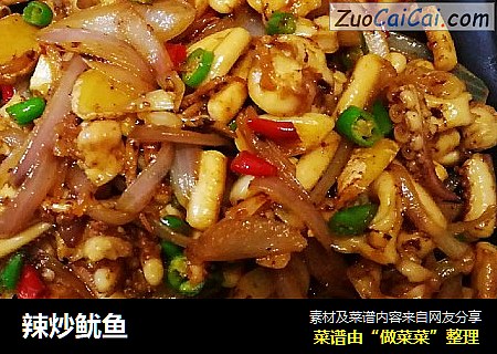 辣炒鱿鱼