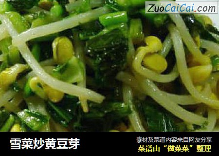 雪菜炒黄豆芽