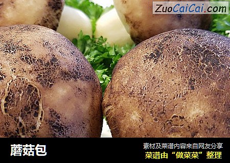 蘑菇包