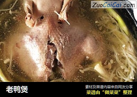 老鸭煲