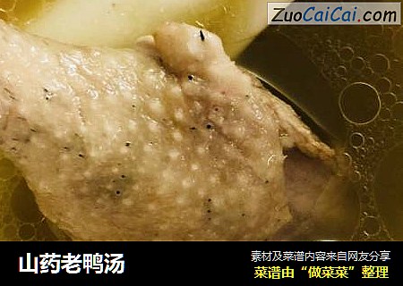 山药老鸭汤