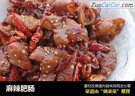 麻辣肥肠