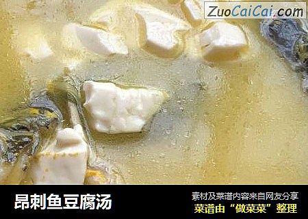 昂刺鱼豆腐汤