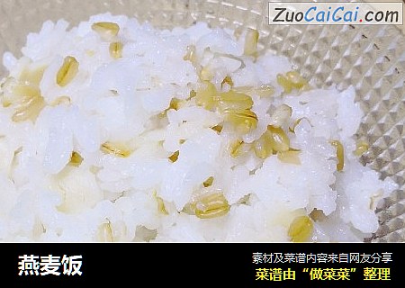 燕麦饭