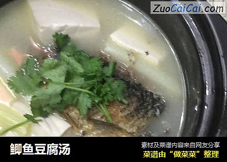 鲫鱼豆腐汤