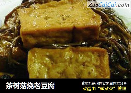 茶树菇烧老豆腐