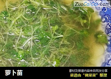 萝卜苗