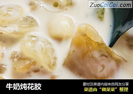 牛奶炖花胶