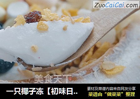 一只椰子冻【初味日记】