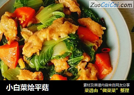 小白菜烩平菇