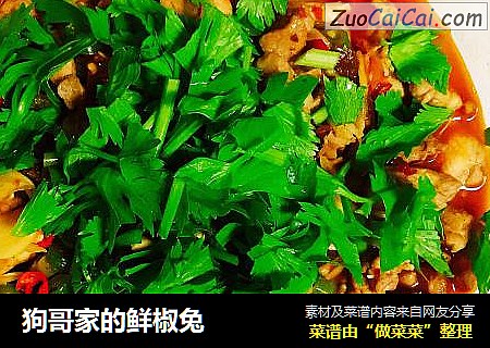 狗哥家的鲜椒兔