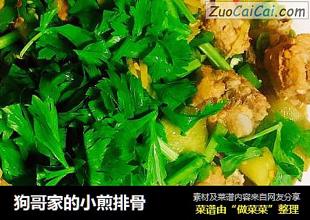 狗哥家的小煎排骨