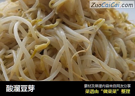 酸溜豆芽