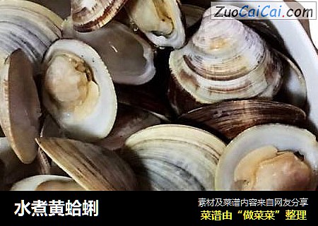 水煮黄蛤蜊