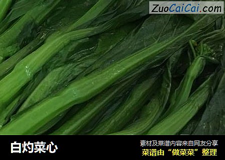 白灼菜心