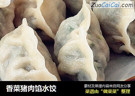 香菜猪肉馅水饺