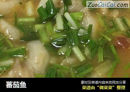 蕃茄鱼